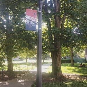 School Banner