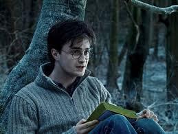 Harry Reads